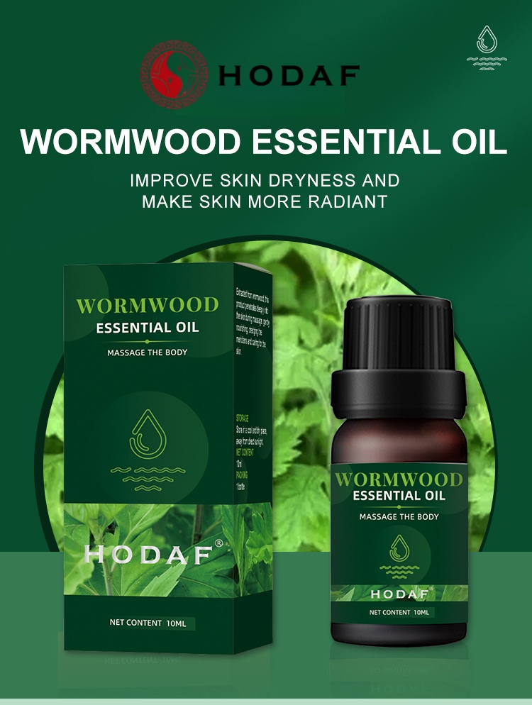 Luxury Skincare Shop - HODAF Mugwort Essential Oil—Body Massage Oil,
