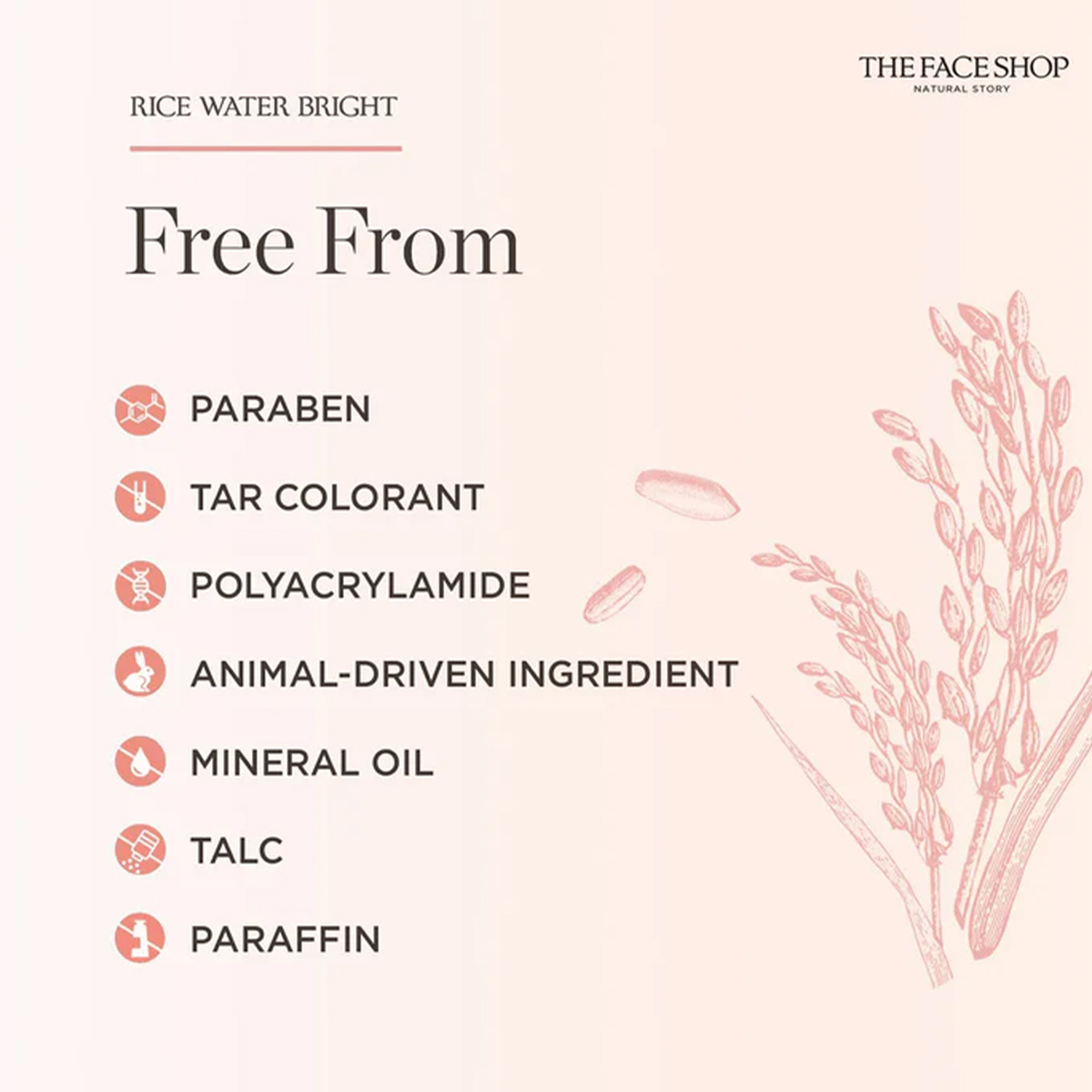 THE FACE SHOP RICE WATER BRIGH - đánh giá và giá Luxury Skincare Shop